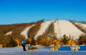 017MITraverseCityDogSled