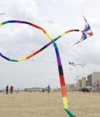 Beach Kites Family Fun