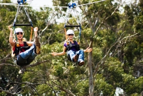 056MauiZipline