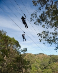 056MauiZiplineGlide