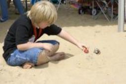 Virginia Beach Hermit Crab Race