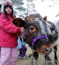 Woodloch Lake Resort Pet Corral