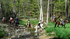 087MDRockyGapHorseback