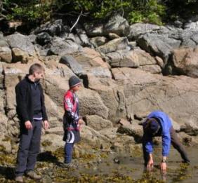 British Columbia Shoreline Search