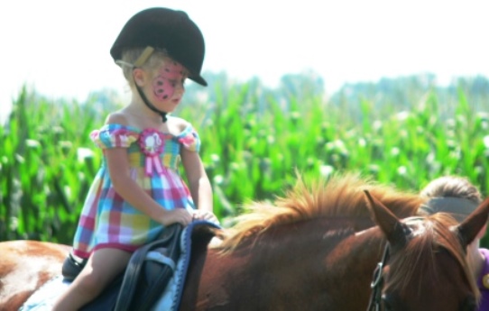 Liberty Ridge Farm New York Pony Riding Experience