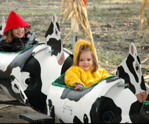 Graff Family Farm Texas Cow Barrel Train