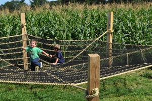 Giant Rope Spider Web at MarniFarm