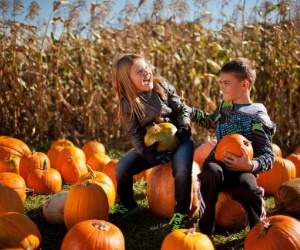 Cider Hill Pumpkin Patch Adventure