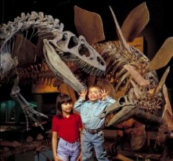 104CODenverDino