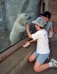 104CODenverZoo