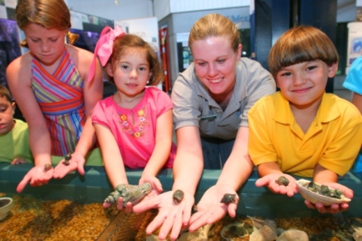 Dauphin Island Sea Lab Experience in Alabama