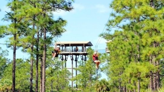 Forever Florida Duel Zipline Family Adventure