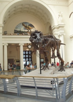 Chicago City Pass T Rex