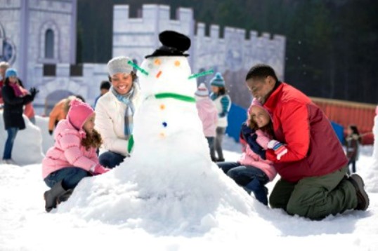 Stone Mountain Geogria Snowman