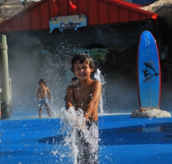 Explore a Shore and splash at Florida Aquarium Tampa