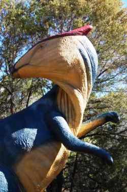 Dinosaur World Glen Rose Texas Family Fun