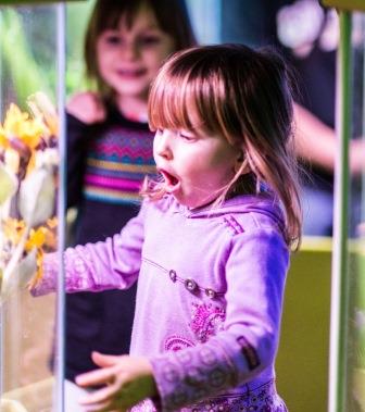 WOW Moment at Butterfly Pavilion near Denver