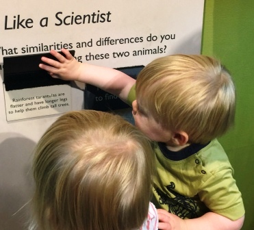 Denver Butterfly Museum Tarantula Discovery