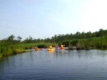 Kayaking Back Bay NWR near Virginia Beach with Teens