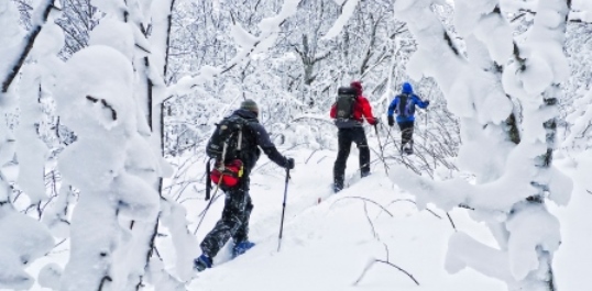 Snow Shoe Trekking Boone North Carolina