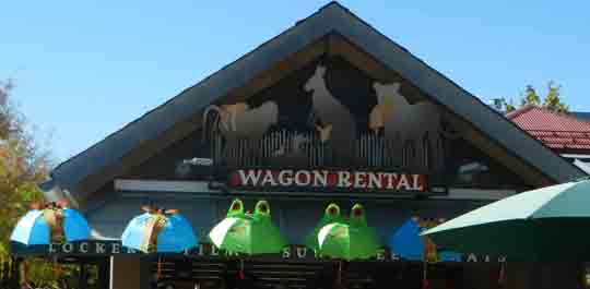 Denver Zoo Umbrellas at Wagon Rental