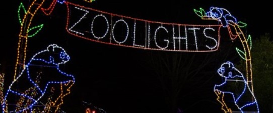 National Zoo Washington DC ZooLights