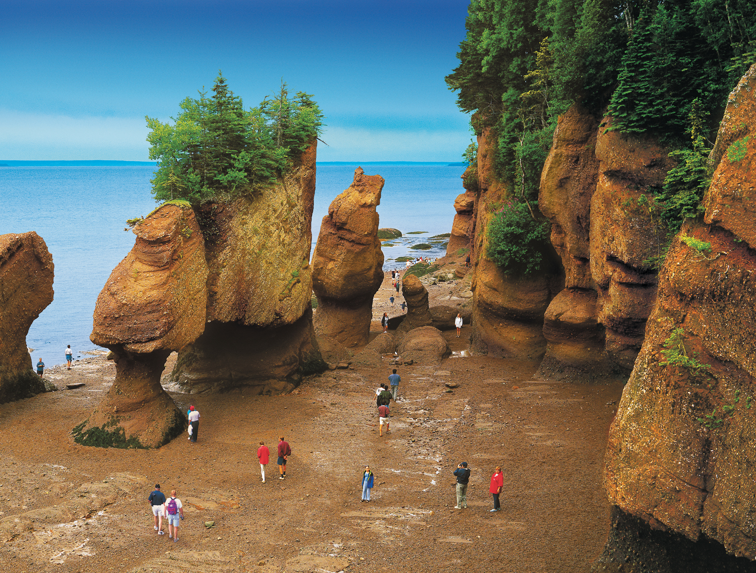 New Brunswick Hopewell Rocks at Low Tide