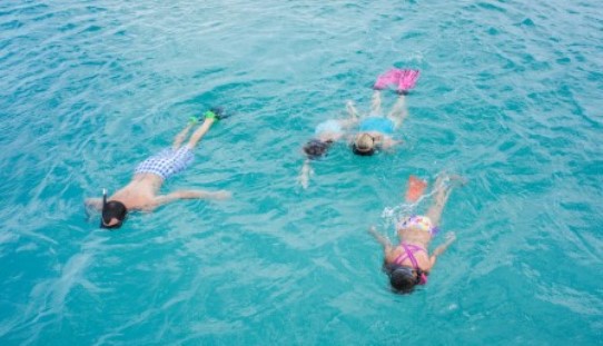 Snorkeling in Aruba with Kids