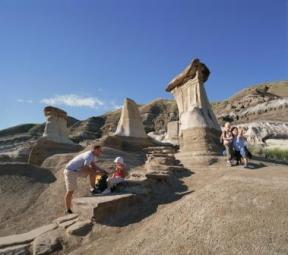 Alberta Dino Hunt