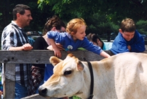 210VTCowKids