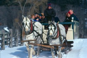 210VTWoodstockSleigh
