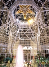 219TXGaylordTree