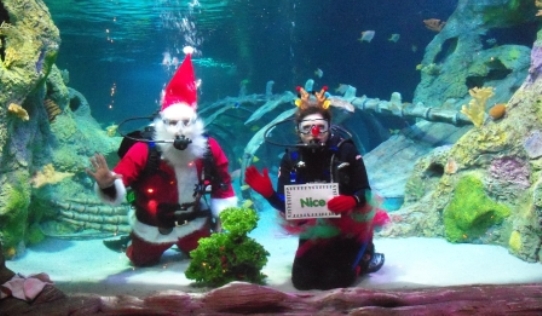 SeaLife CenterSanta in Grapevine Texas