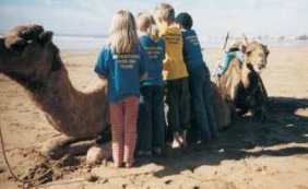 225ToursACMorocco