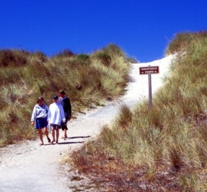 Bullards Beach State Park Beach Trail