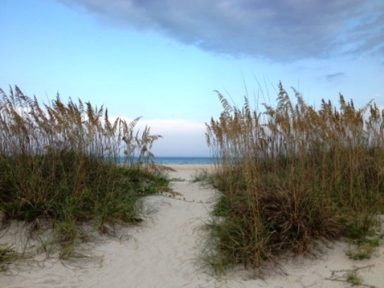 Crescent Beach sea OatsPpathway to the Sea