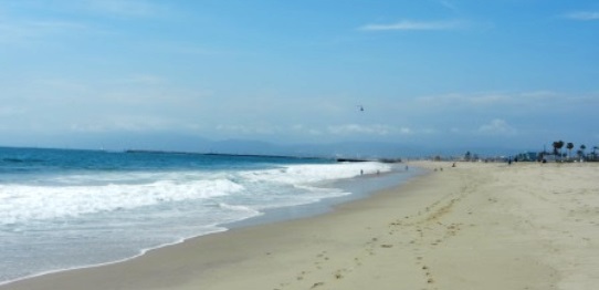 Padre Island Texas Beach Trail