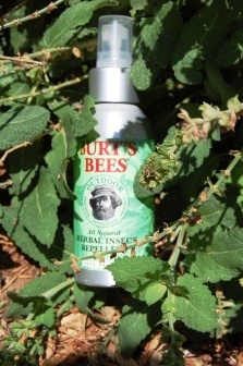 253BugOffBurtsBees