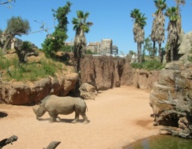 Valencia Bioparc