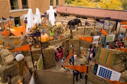 29MontrealMaze