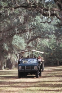 313SCMBBrookgreen