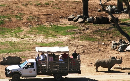 South California Wild Animal Park