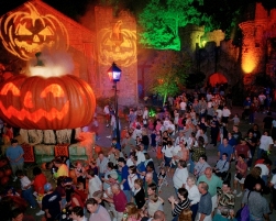 329VABuschGardensPumpkins