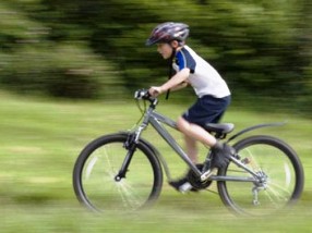 351VTTopNotchBike