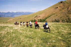 Grand Teton Horseback Riding