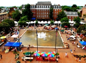 397VAAlexMarket