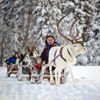 Finland Family Fun Reindeer Safari