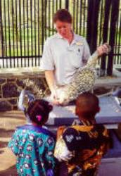 428DEBrandywineZoo