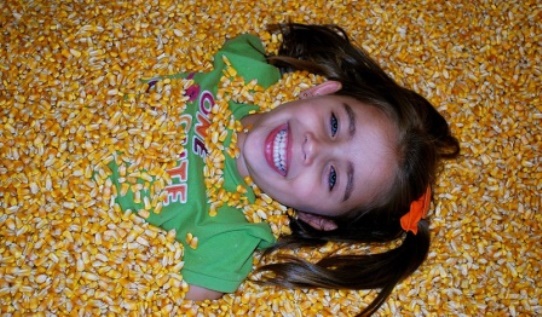 Dewberry Farms Agri-Adventure Texas Corn Pile