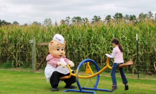 Hubbs Corn Maze North Carolina Teeter Totter